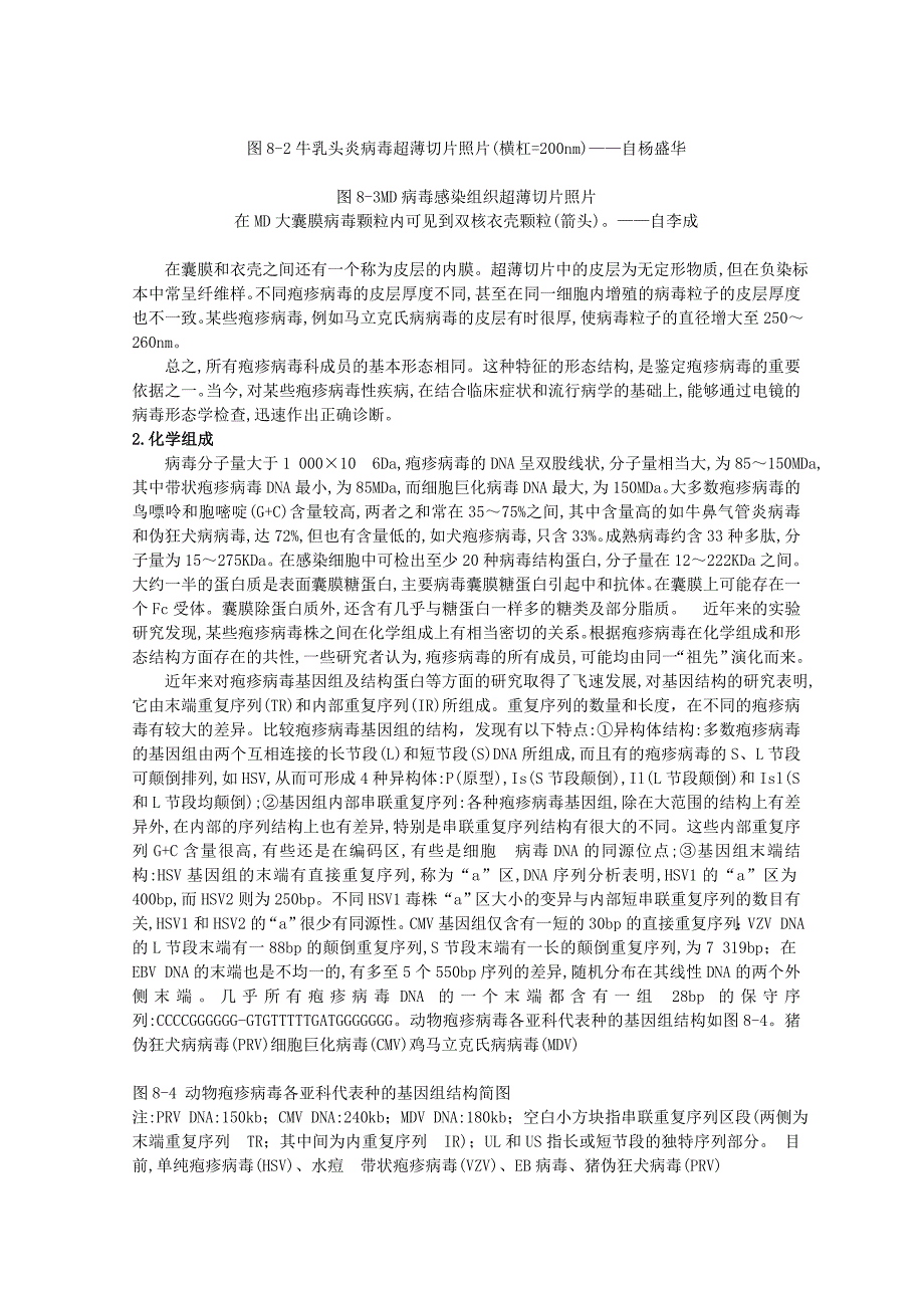 第08章 疱疹病毒科(Herpesviridae)_第4页