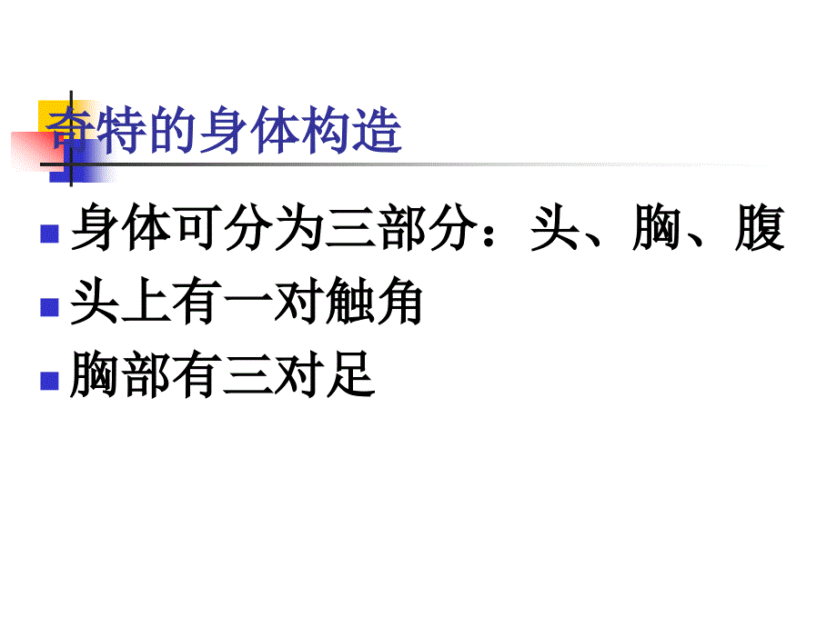 教科版科学六年级下册第一单元《放大镜下的昆虫世界》PPT_第4页