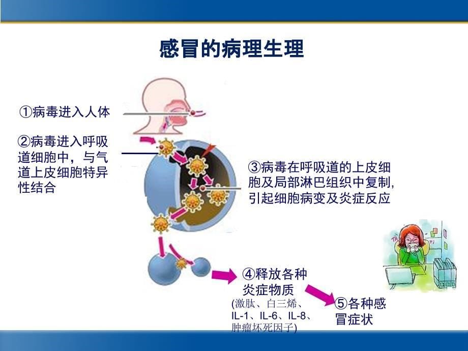 急性上呼吸道感染的诊断和治疗(标准)完整版本.ppt_第5页