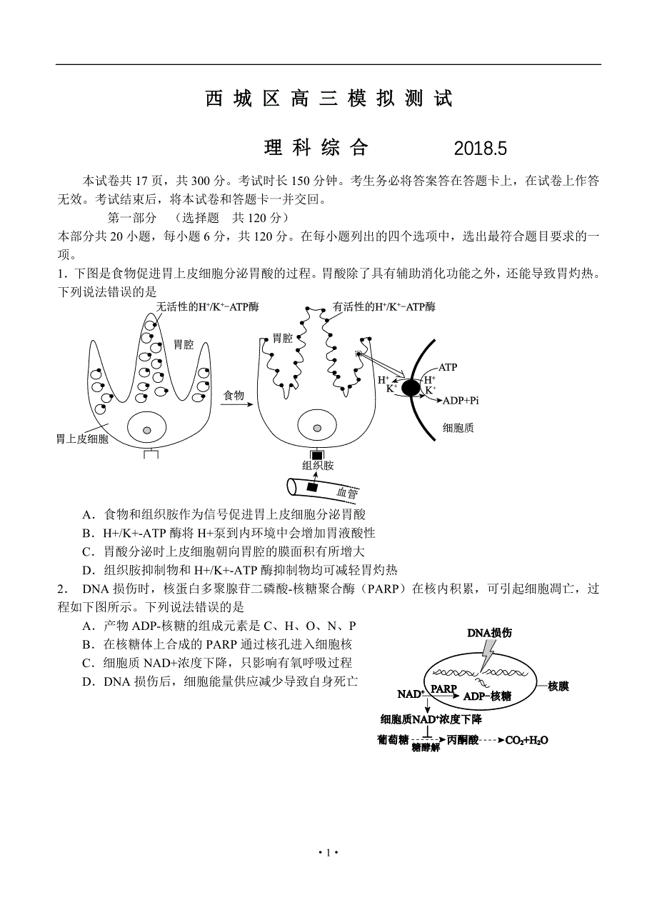 北京市西城区2018届高三二模试题理科综合试卷_第1页