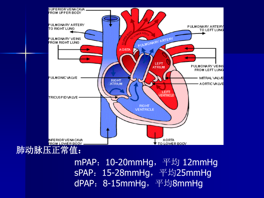 肺动脉高压与慢性肺源性心脏病知识PPT课件_第4页