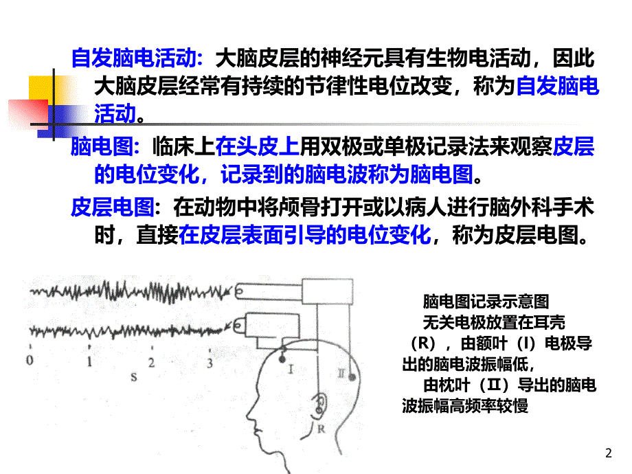 本科生程神经系统高级功能脑电图睡眠与觉醒PPT课件.ppt_第2页