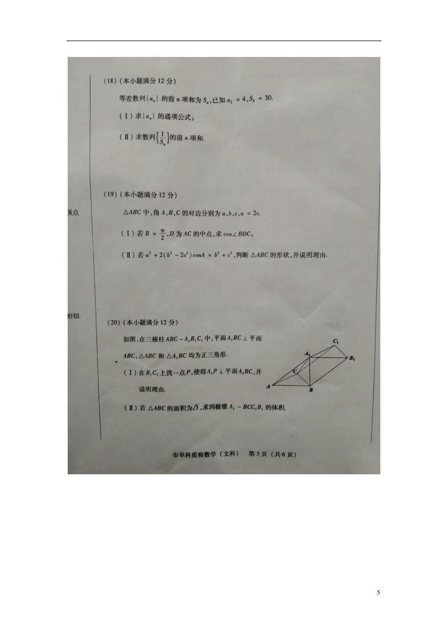 福建泉州高三数学单科质量检查文.doc_第5页