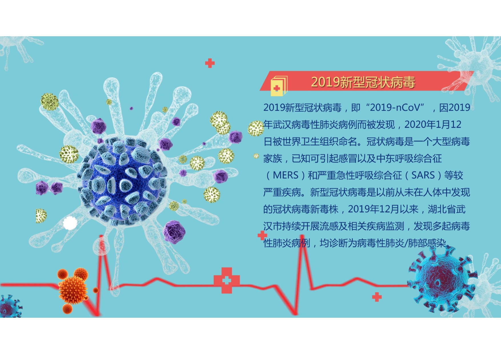 新冠肺炎预防专题知识讲解（原理、预防与防护）_第2页