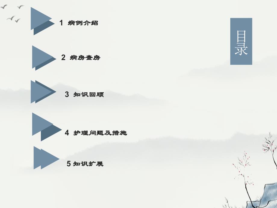 多发伤护理教学查房ppt_第3页