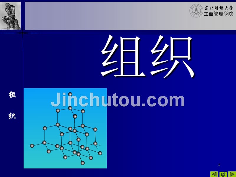 《管理学组织》PPT课件.ppt_第1页