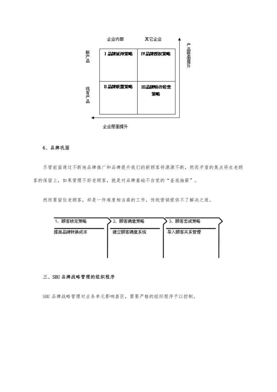 品牌战略管理10_知易行难的SBU品牌战略管理_第5页