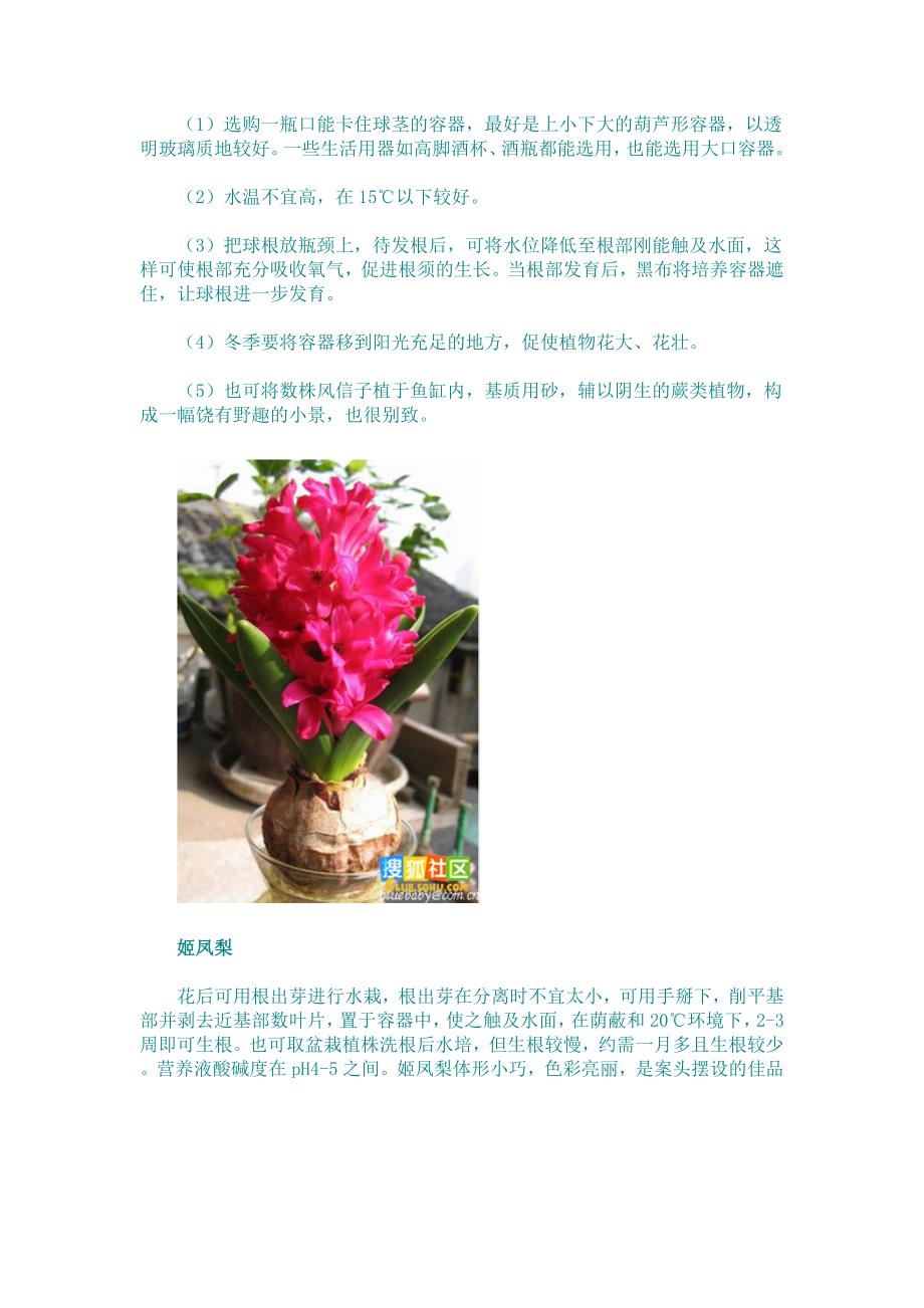 家庭各种花卉的水培技术知识大全汇编(图解)一 .doc_第4页