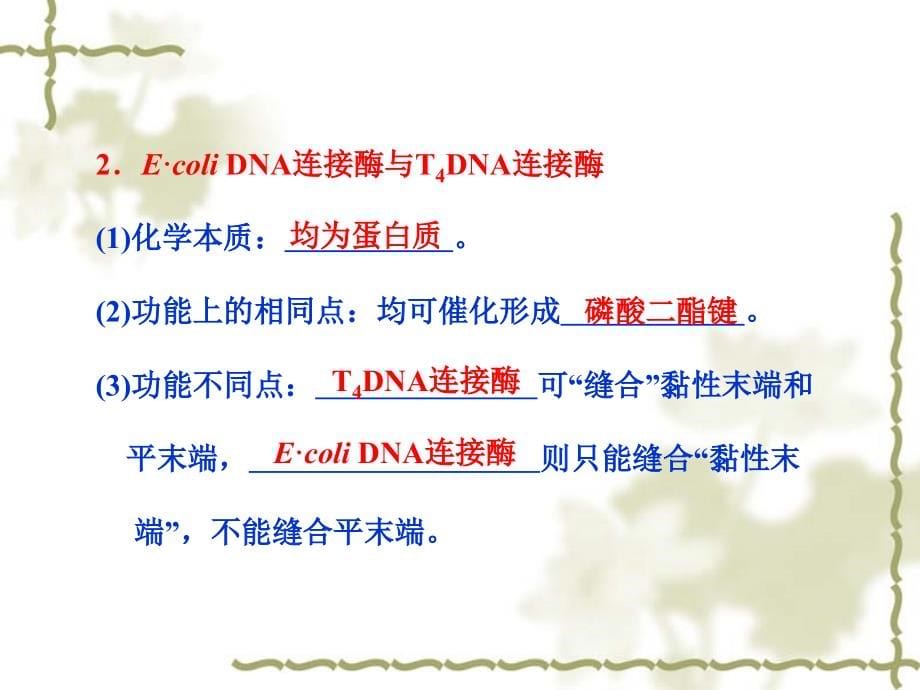 2013届高考生物一轮复习课件：选修3 第1讲 基因工程.ppt_第5页