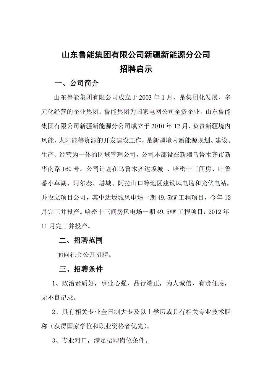 （能源化工行业）高效山东鲁能集团有限公司新疆新能源分公司_第1页