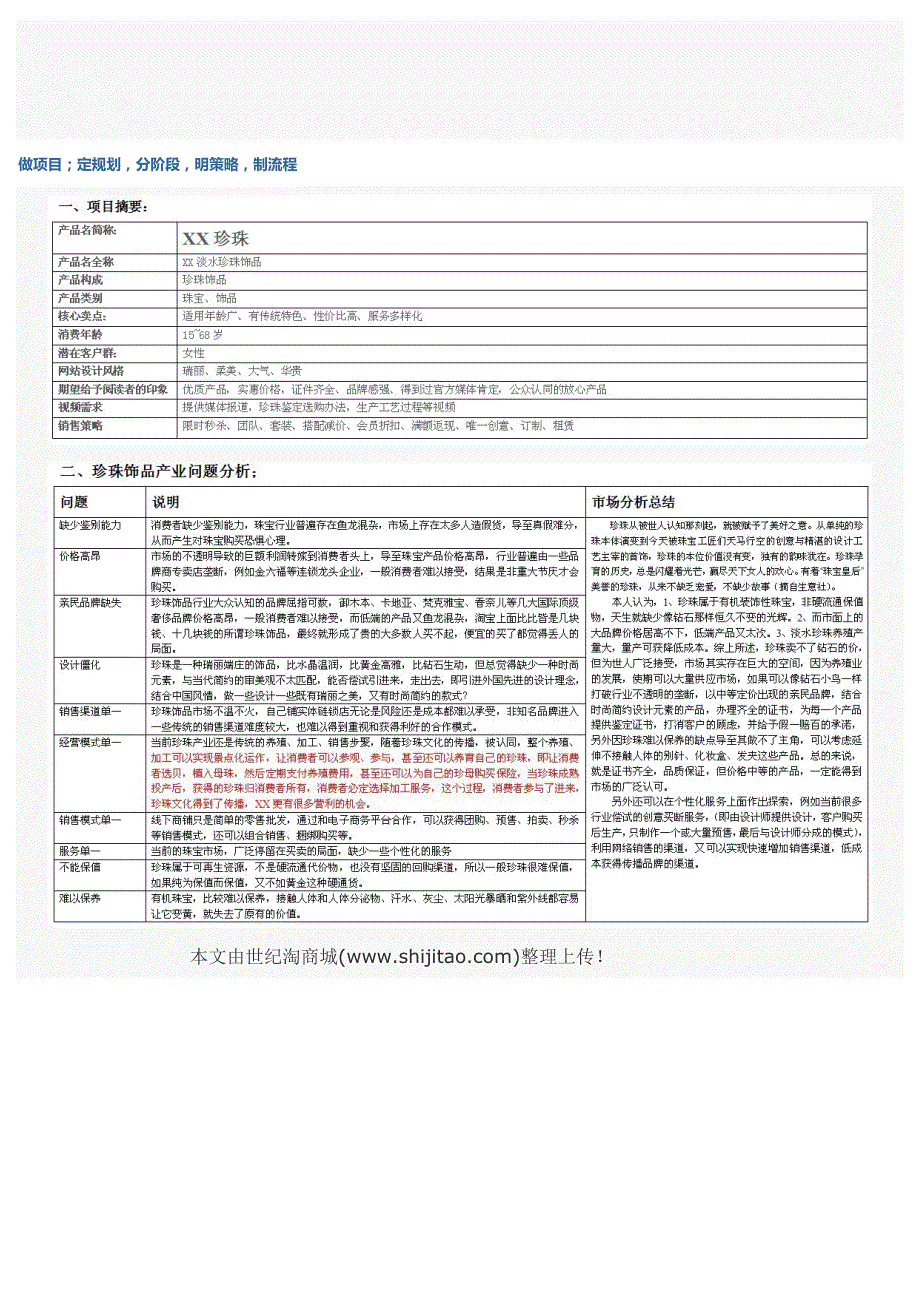 [指南]做项目、定规划、分阶段、明策略、制流程.doc_第2页