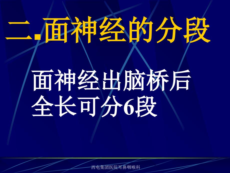 面神经解剖完整版.ppt_第4页