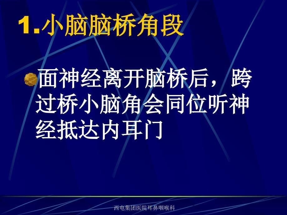 面神经解剖完整版.ppt_第5页