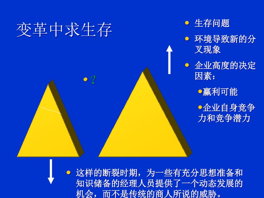 组织变革管理与战略资源整合_第4页