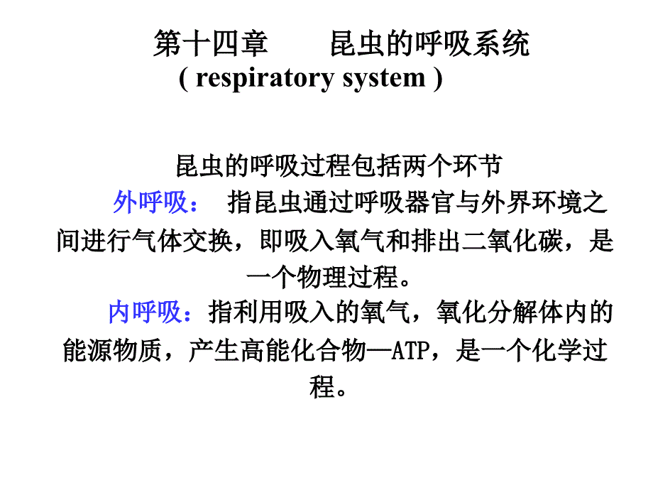 昆虫的呼吸系统1PPT.ppt_第1页