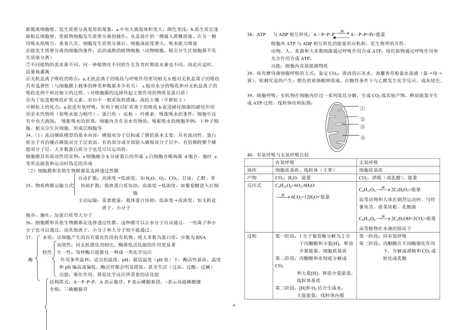 高中生物必修1教材的复习知识点.doc_第4页