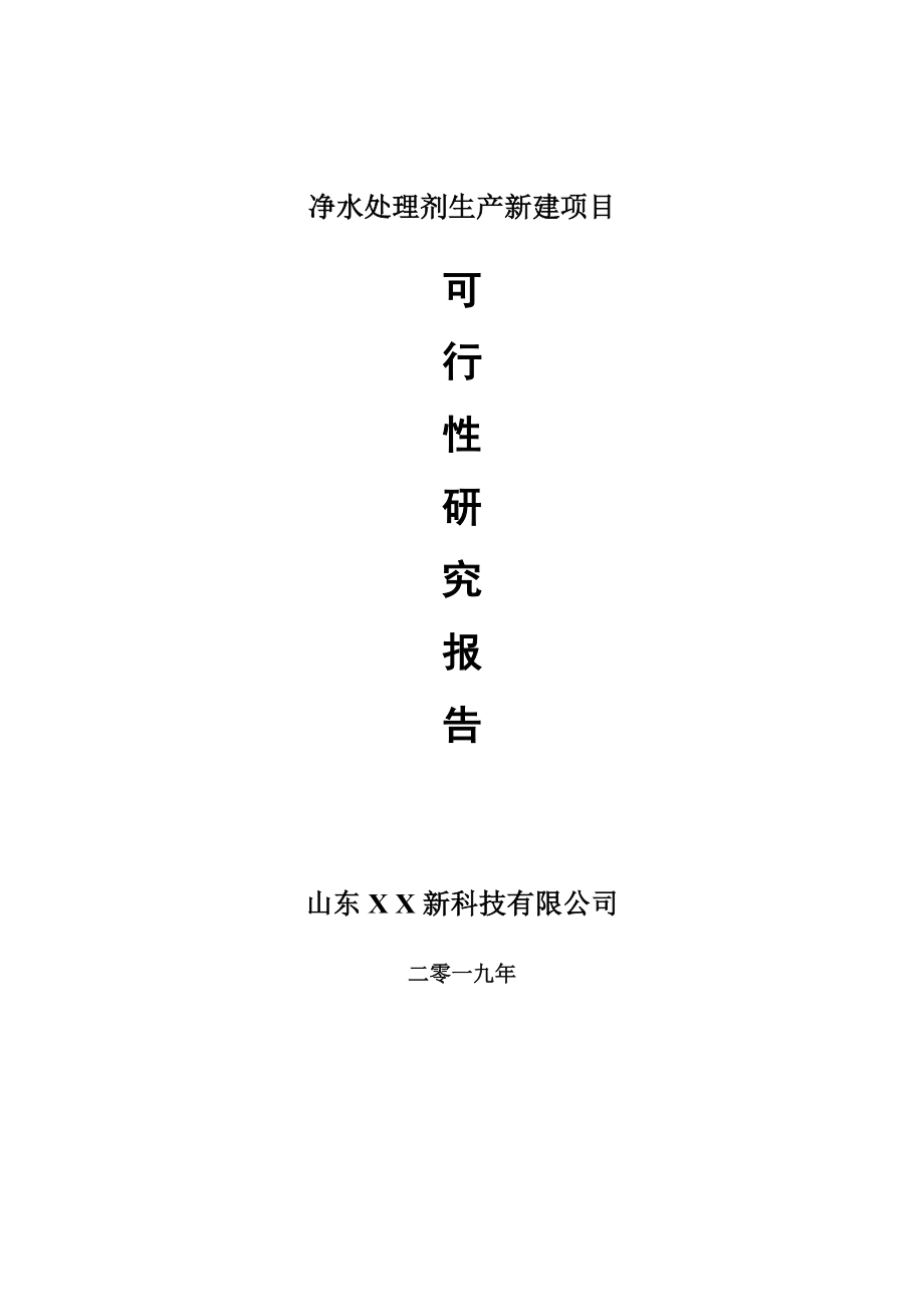 净水处理剂生产新建项目可行性研究报告-可修改备案申请_第1页