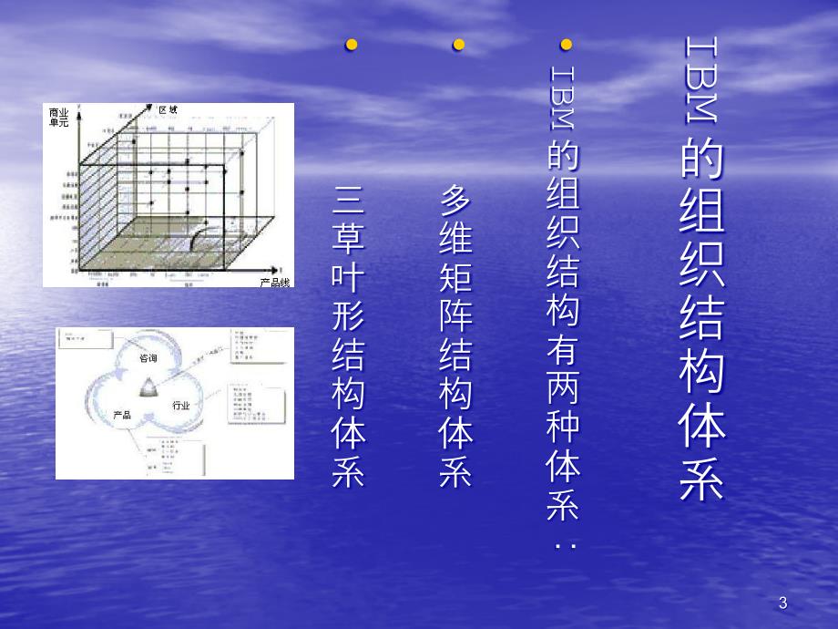 IBM组织管理PPT课件.ppt_第3页