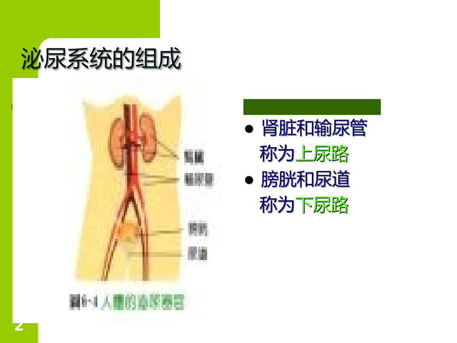 -连续性血液净化技术及护理PPT课件.ppt_第2页