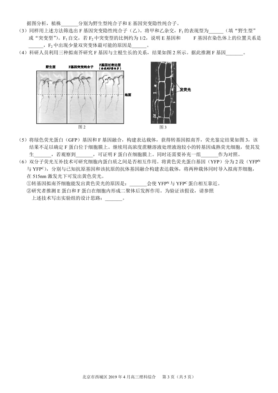 2019 西城 一模 生物试题及答案.doc_第3页