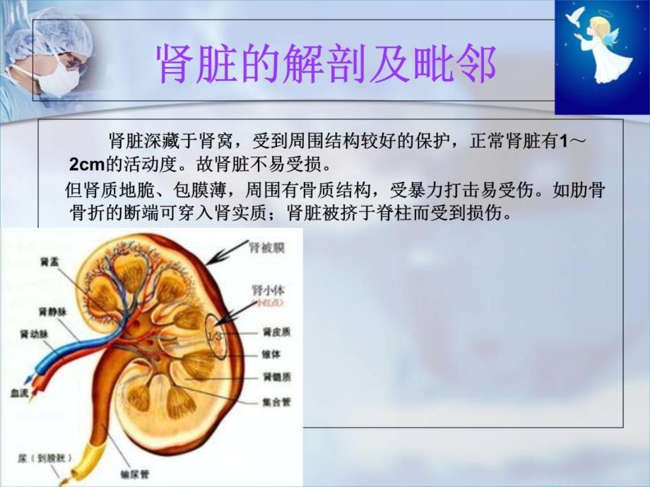 肾损伤病人的护理.教学文案_第3页