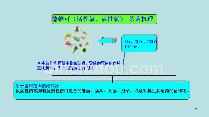 德维可外科PPT课件.ppt_第2页