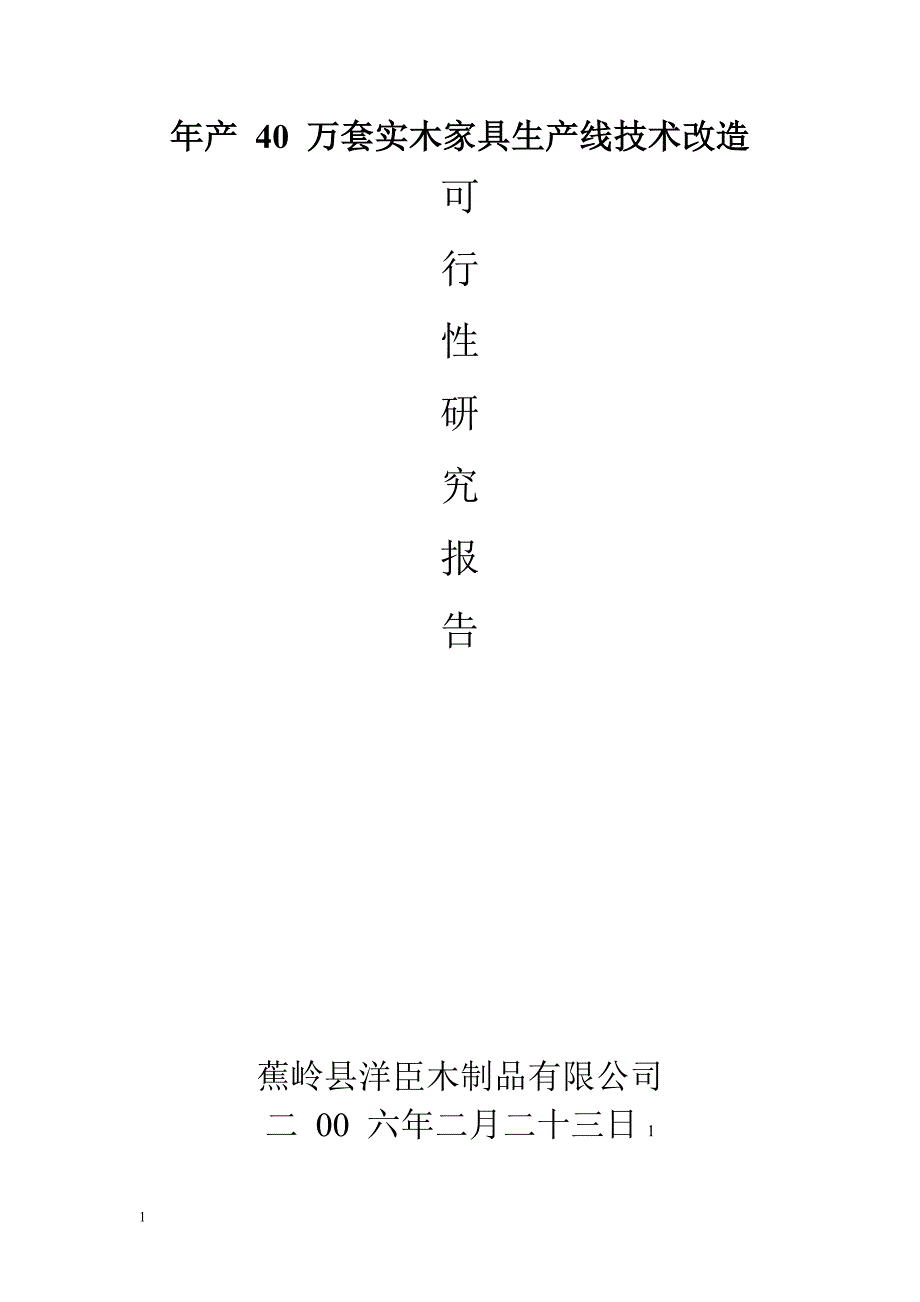 年产40万套实木家具生产线技术改造可行性研究报告文章资料教程_第1页