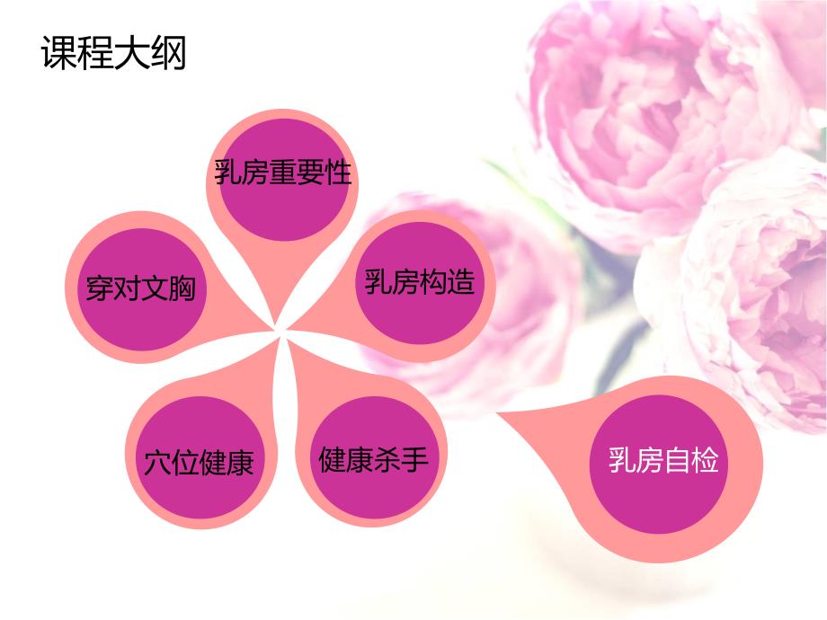 乳房健康知识PPT课件.ppt_第3页