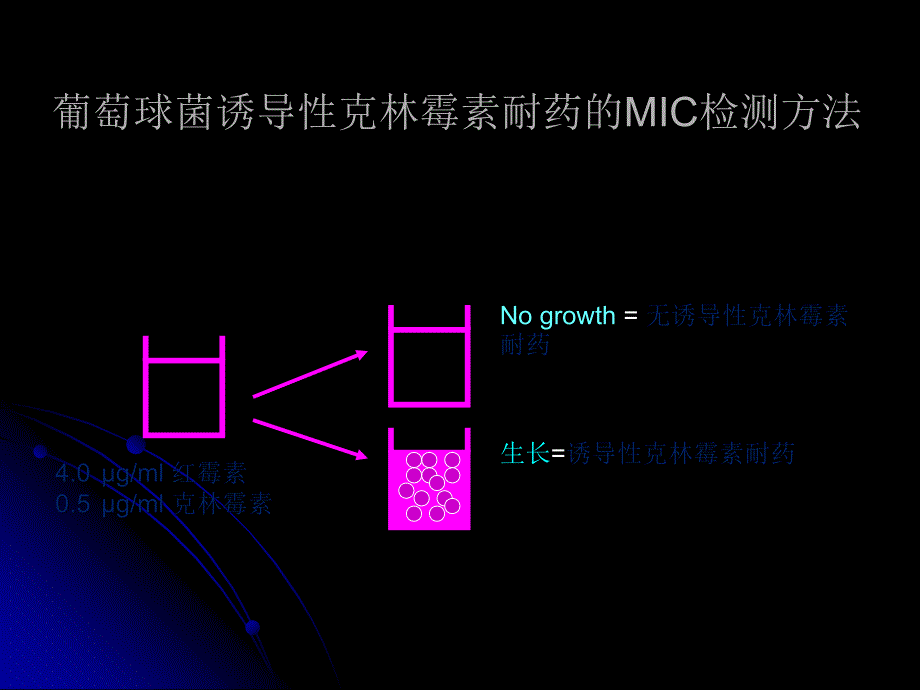 葡萄球菌-“D试验”.ppt_第2页