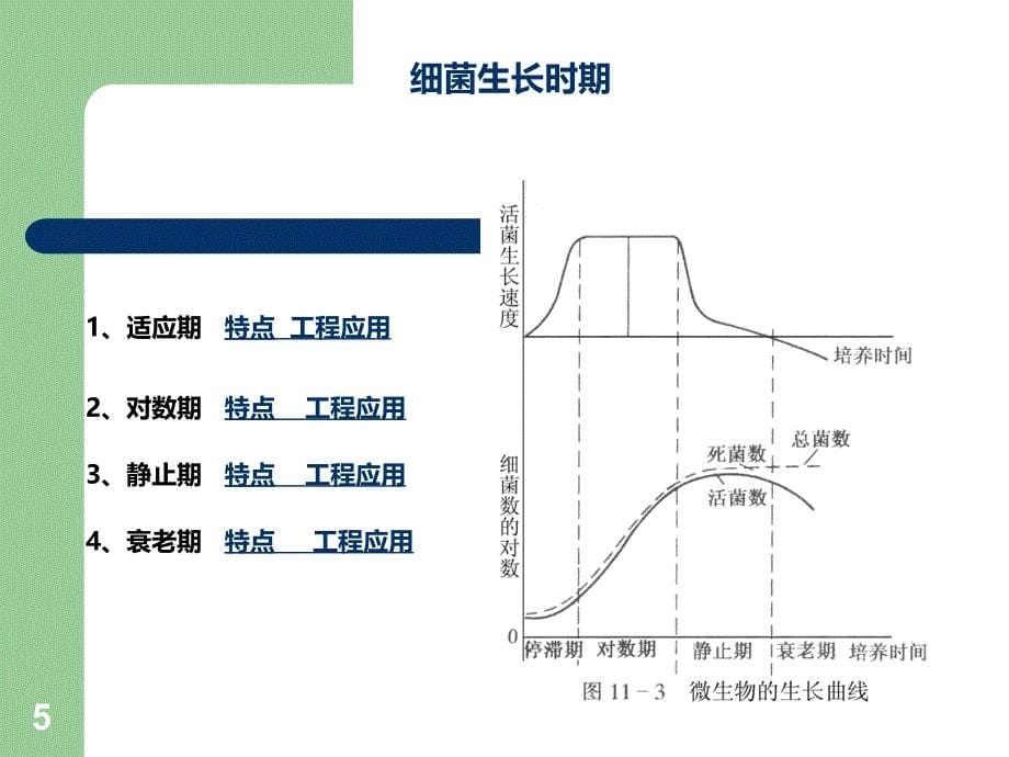 微生物生长曲线在污水处理工程中的应用PPT课件.ppt_第5页