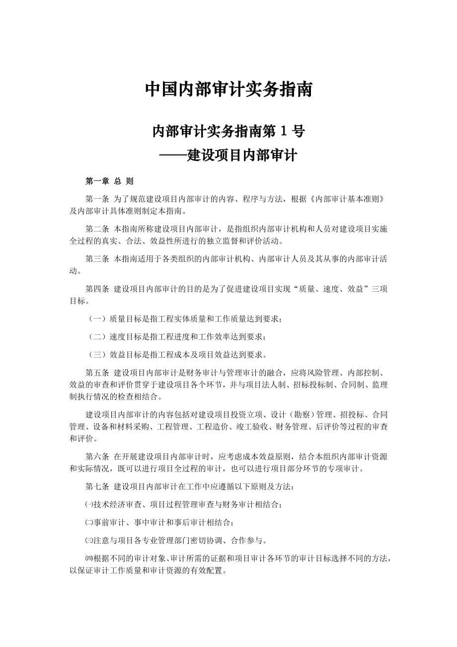 2017 年中国内部审计实务指南汇编.doc_第5页