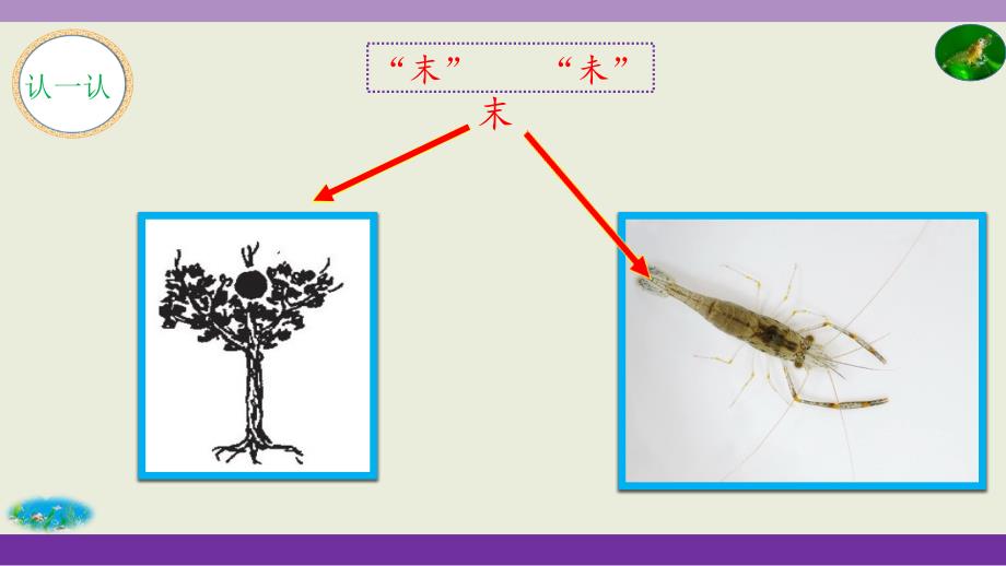 (赛课课件）三年级下册语文《小虾》_第4页