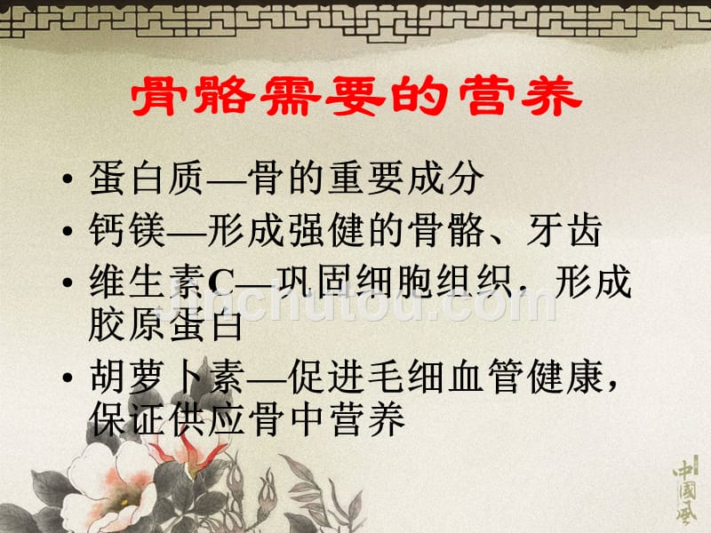 人体十大系统.ppt_第4页