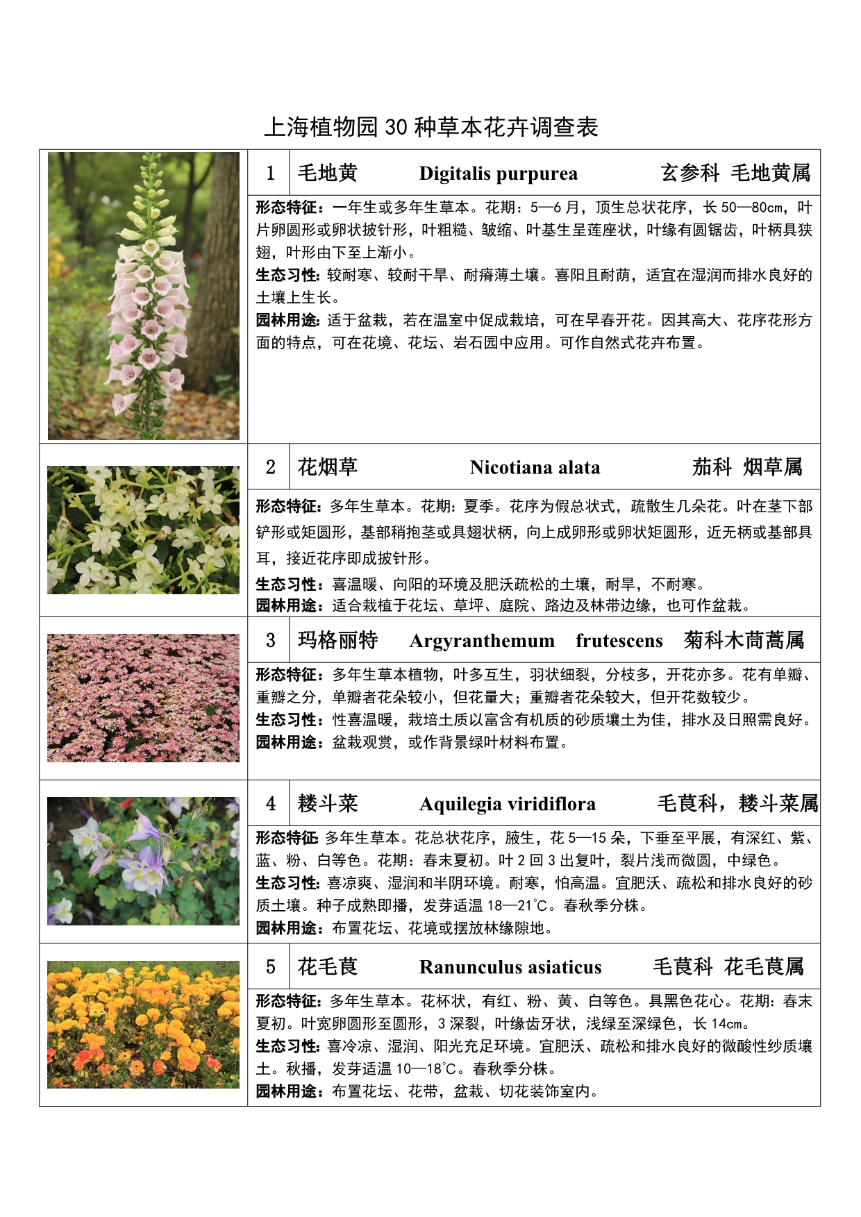 上海植物园实习种草本花卉.doc_第1页