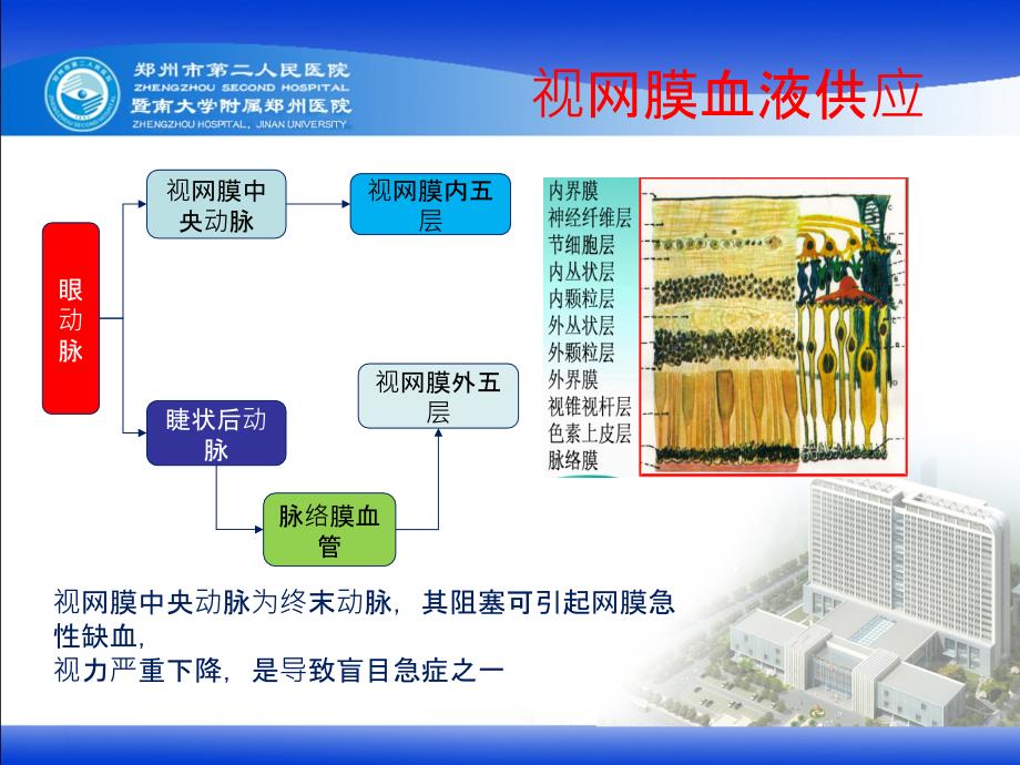 视网膜中央动脉阻塞完整版本.ppt_第3页