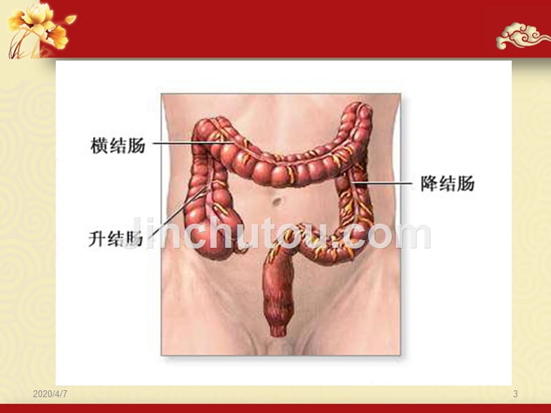 中医养生健康：三通一正PPT课件.ppt_第3页