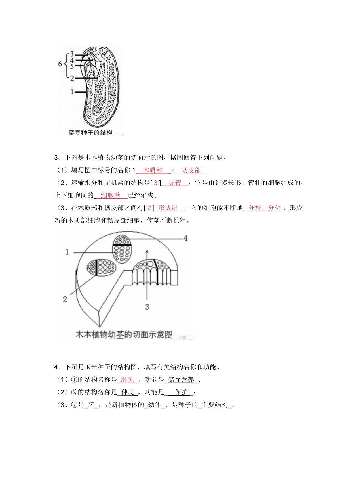 2018初中生物常考的识图填空题(含答案).doc_第2页