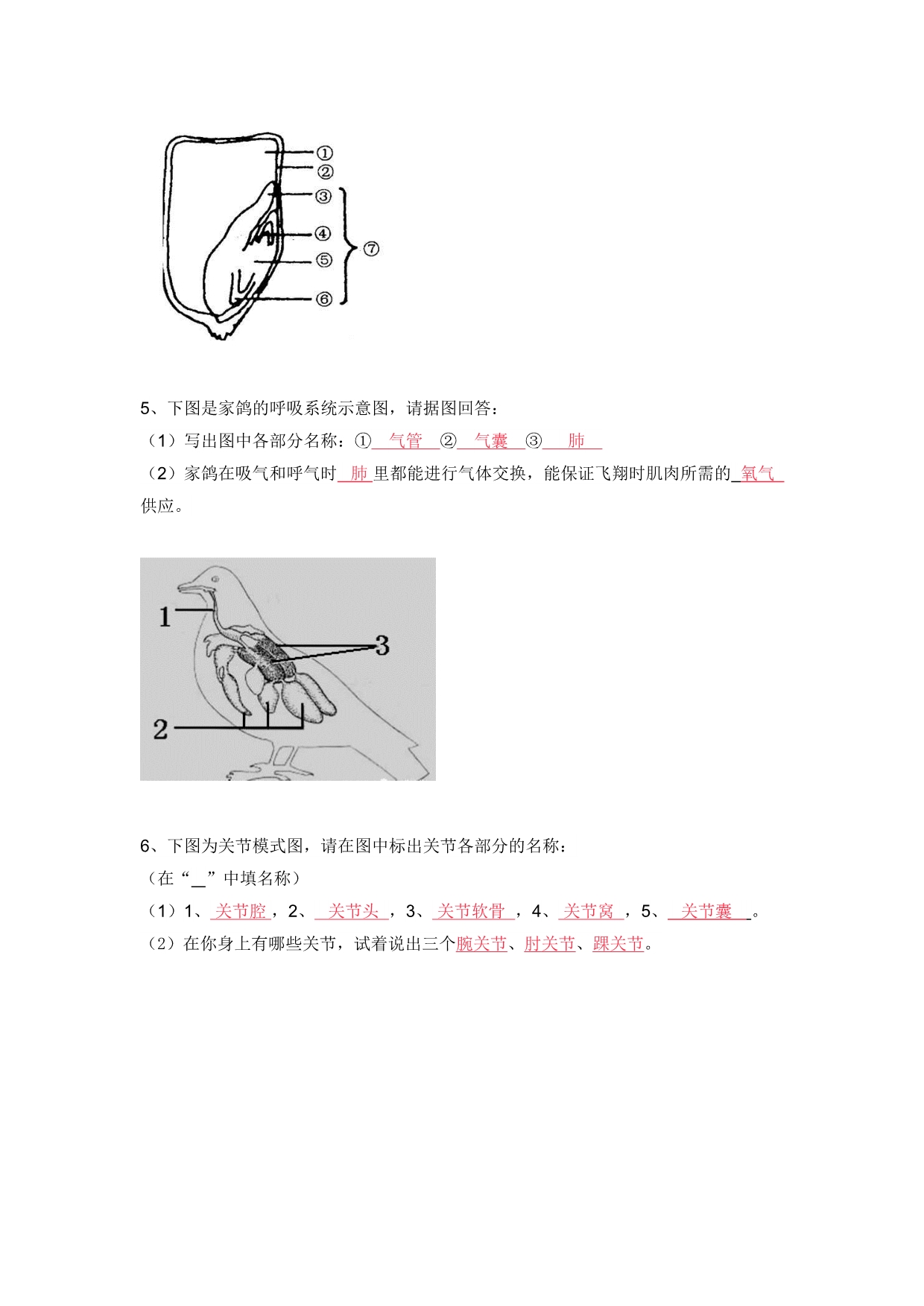 2018初中生物常考的识图填空题(含答案).doc_第3页