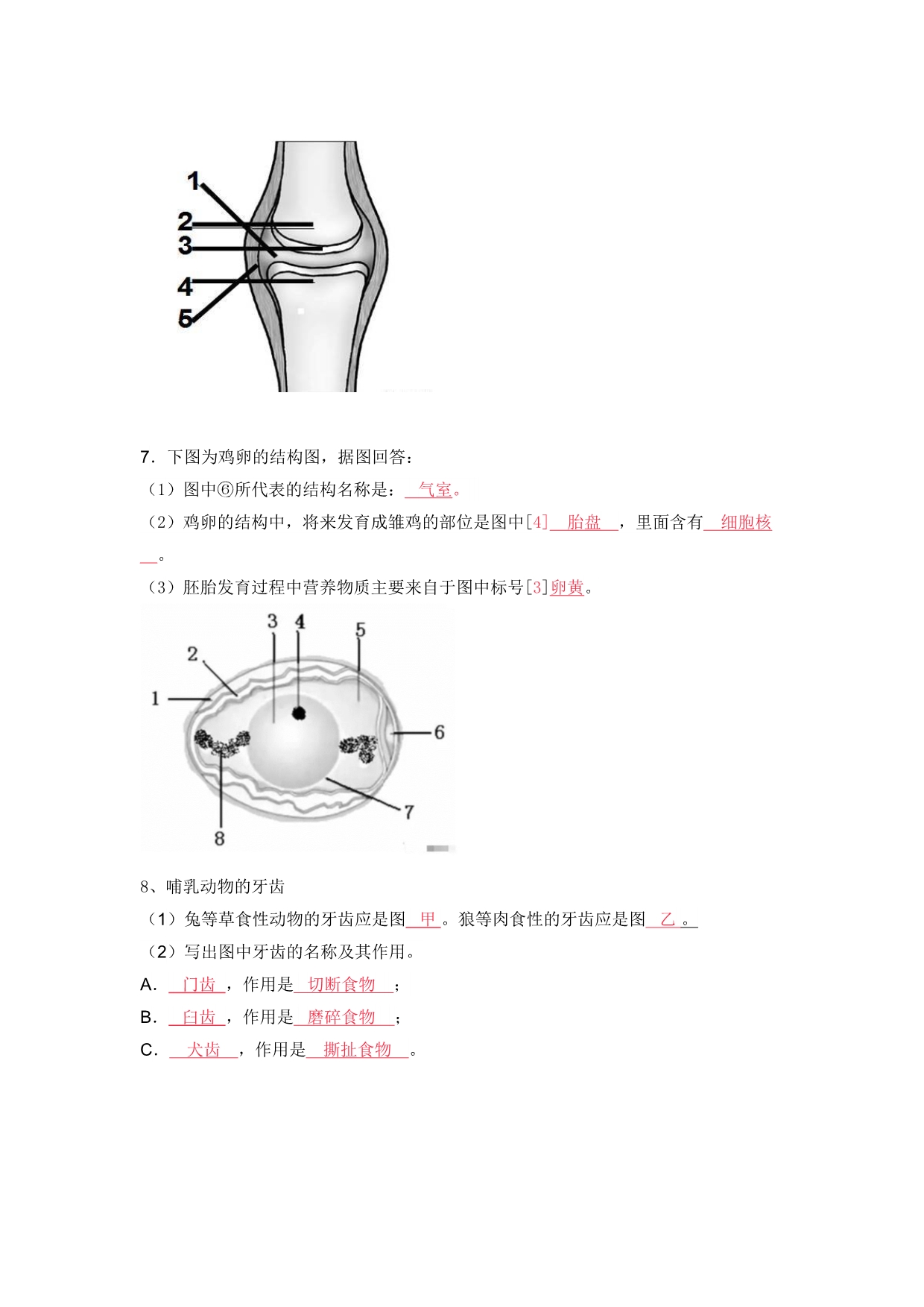 2018初中生物常考的识图填空题(含答案).doc_第4页