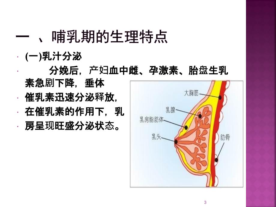 哺乳期保健PPT课件.ppt_第3页