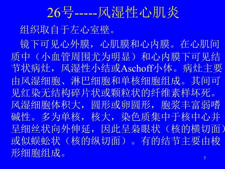 实验七-心血管系统疾病PPT课件.ppt_第5页