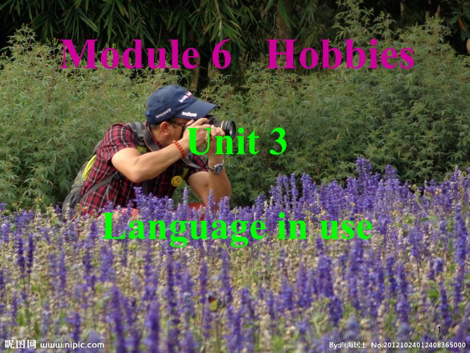 外研版八年级下Module6 Hobbies Unit3.ppt_第1页
