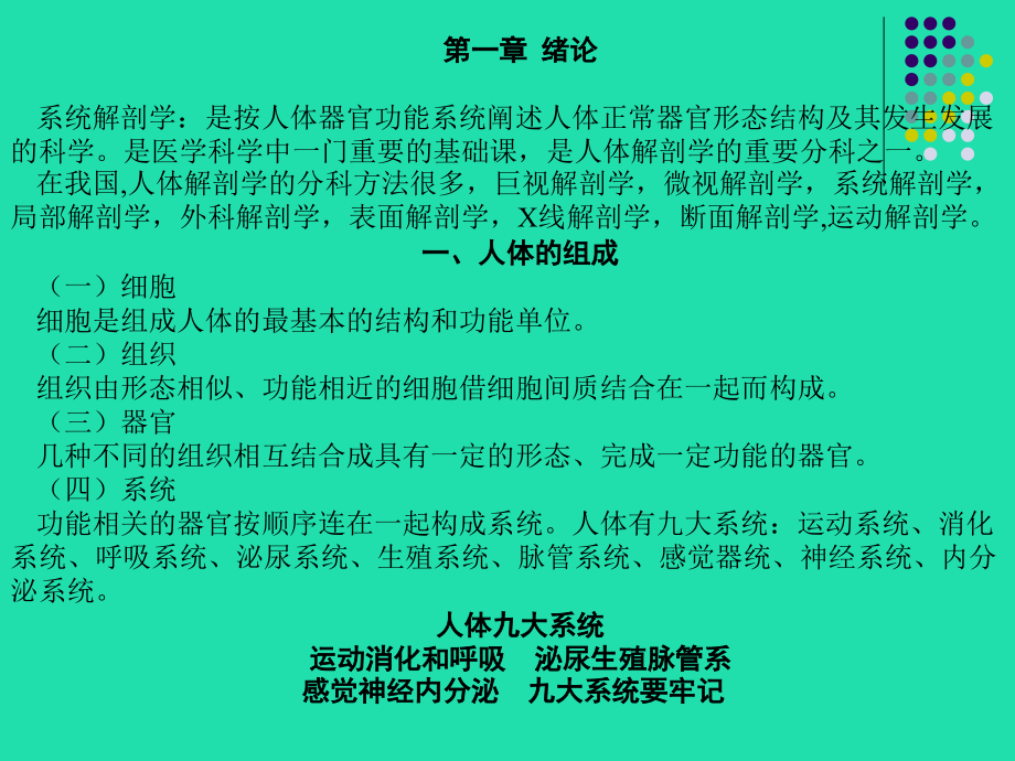 人体解剖学课件-全(课件)说课材料_第2页