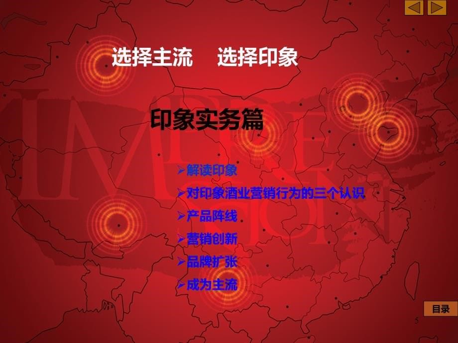 印象红酒招商资料PPT课件.ppt_第5页