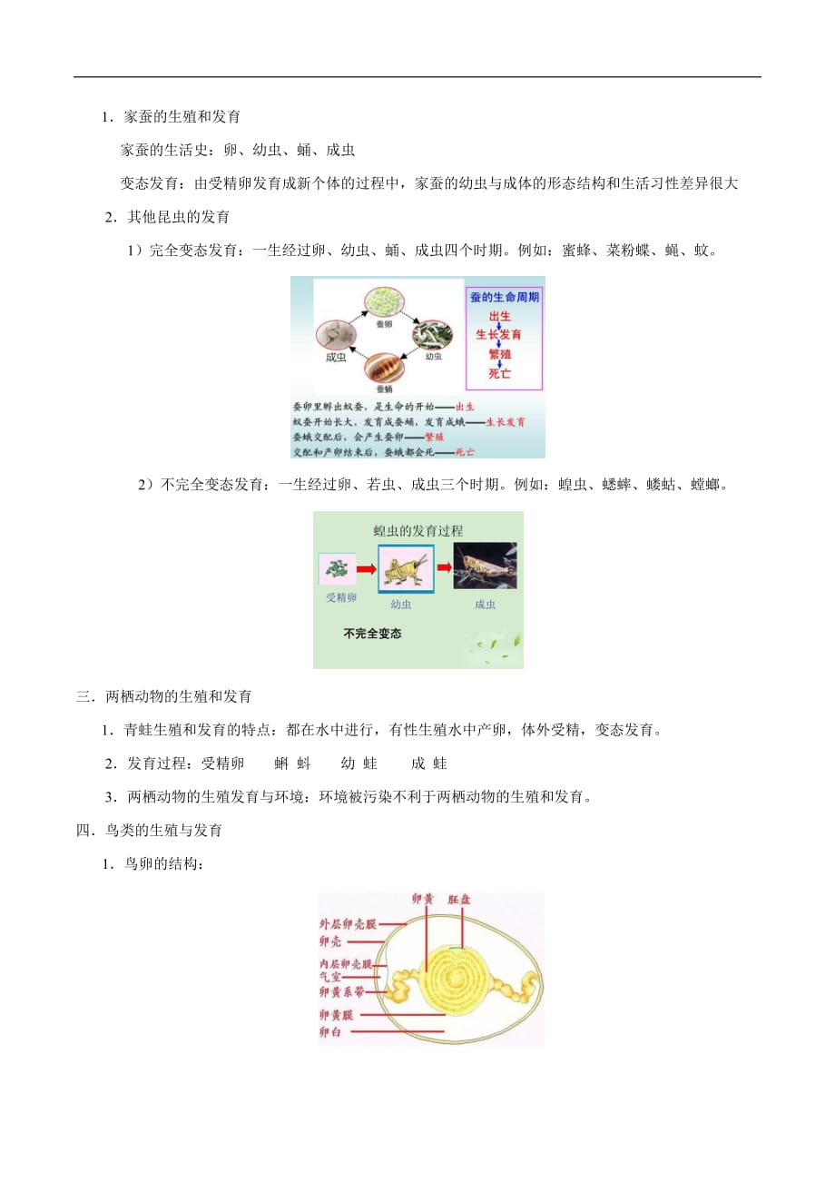 （人教版）2020中考生物必背知识合集 八年级下册_第2页