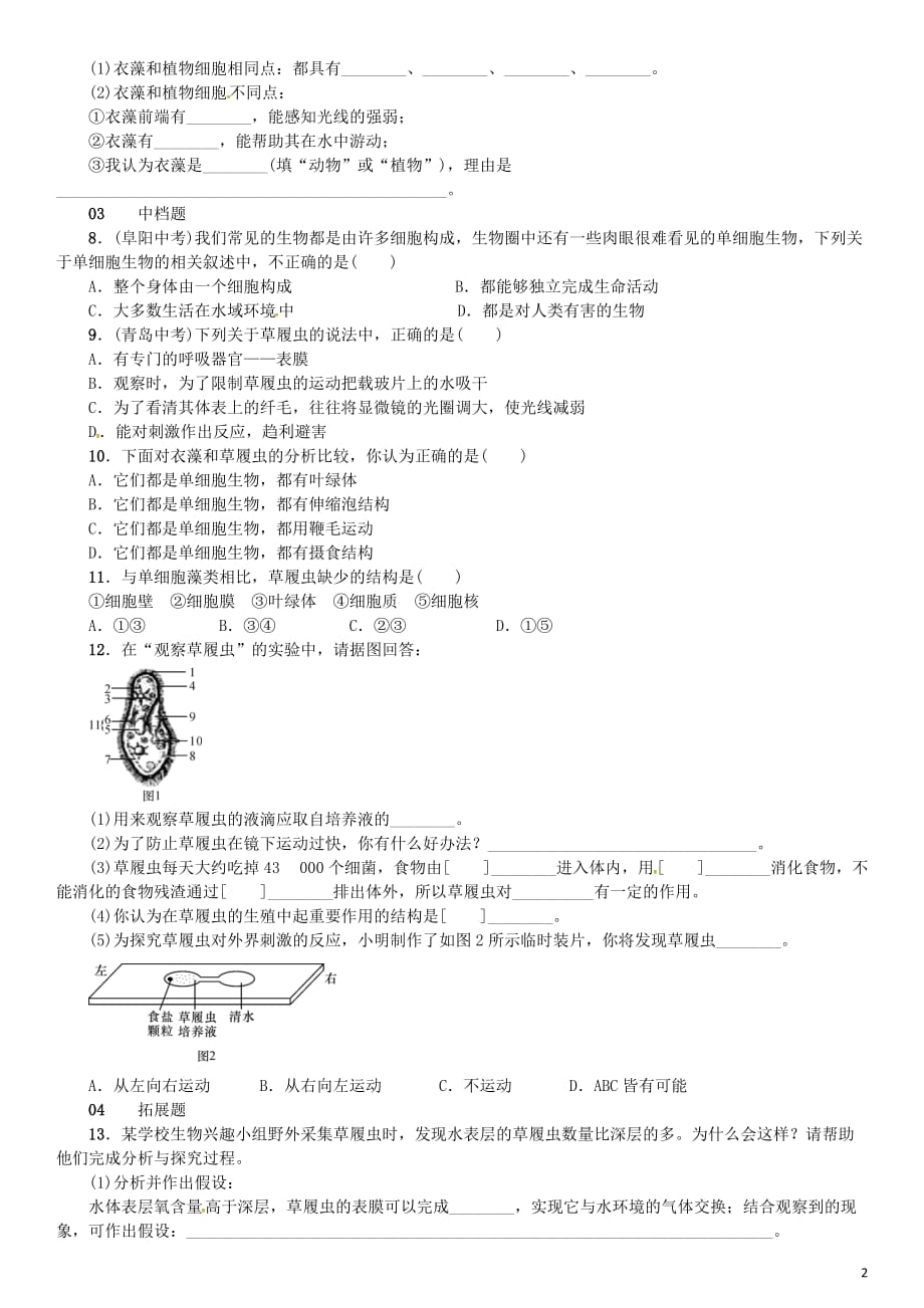 七年级科学上册第2章观察生物第6节第1课时单细胞生物和多细胞生物习题（新版）浙教版_第2页