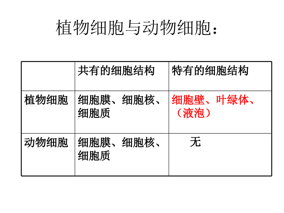 第二节细胞分裂与分化PPT课件_第1页