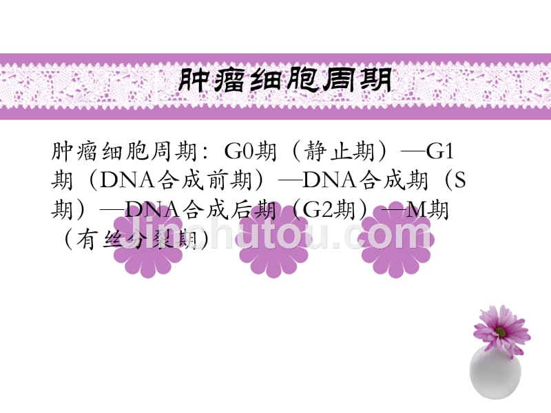 常见化疗药物顺序PPT课件_第3页