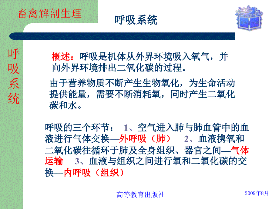 畜禽解剖生理第6章呼吸系统PPT课件_第2页