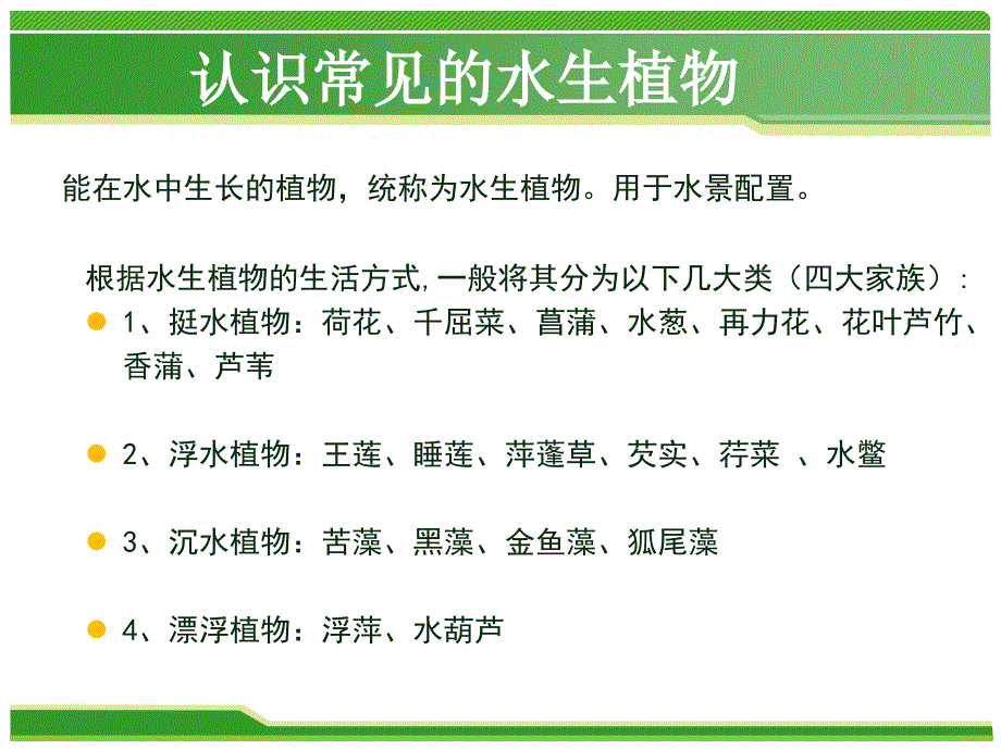 水生植物及应用知识讲解_第2页